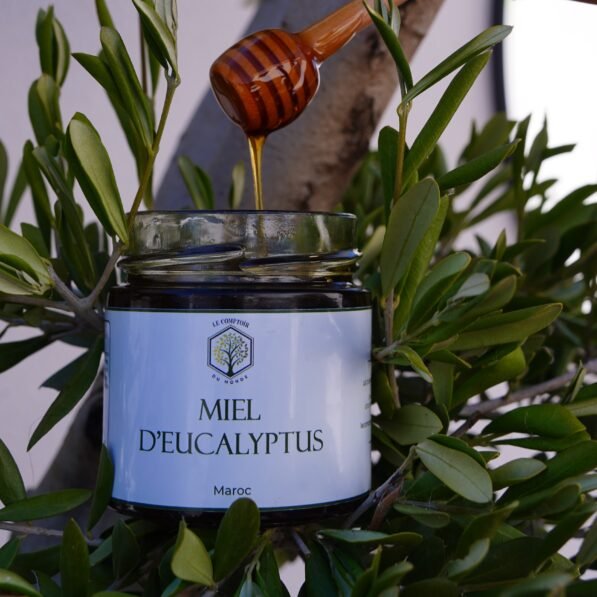 pot de miel d’eucalyptus du Maroc, miel naturel et artisanal, au goût frais et mentholé, récolté dans les régions boisées du Maroc