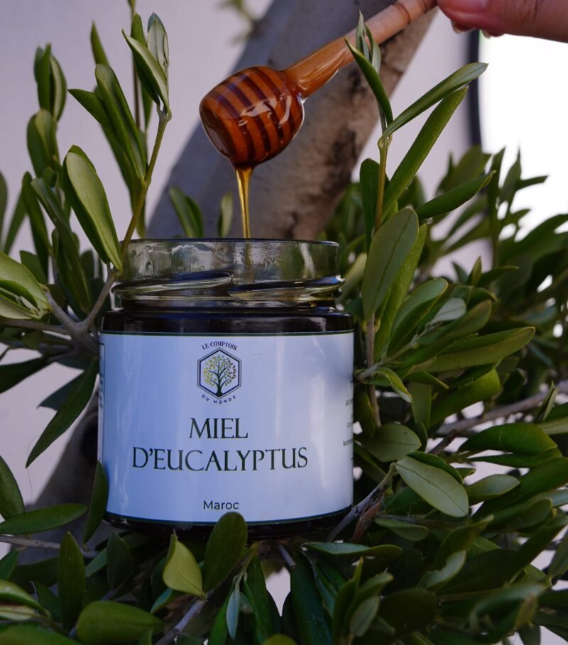 pot de miel d’eucalyptus du Maroc, miel naturel et artisanal, au goût frais et mentholé, récolté dans les régions boisées du Maroc