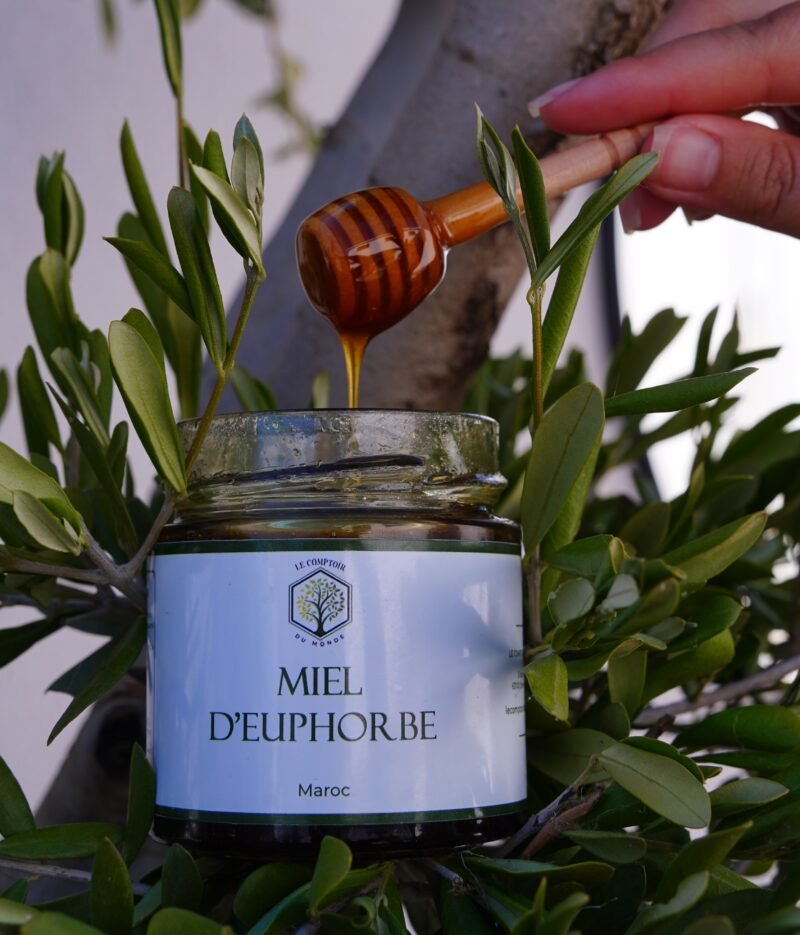 pot de miel d’euphorbe du Maroc, miel daghmous rare et naturel, au goût fort et piquant, récolté artisanalement dans les montagnes du sud marocain