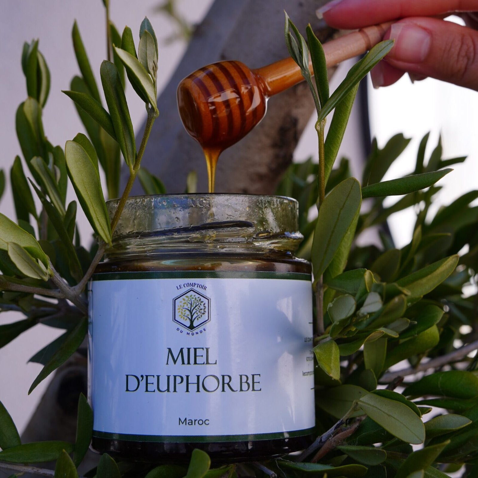 pot de miel d’euphorbe du Maroc, miel daghmous rare et naturel, au goût fort et piquant, récolté artisanalement dans les montagnes du sud marocain